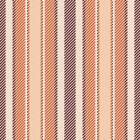 textiel patroon verticaal van structuur achtergrond streep met een vector naadloos lijnen kleding stof.