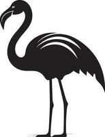 stralend gevederte flamingo logo vector symbool elegant vogel flamingo vogel embleem ontwerp