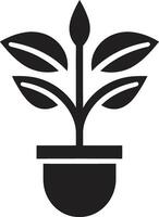 botanisch schoonheid logo vector icoon groenblijvend elegantie fabriek embleem ontwerp