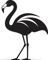 koraal kust flamingo logo vector kunst flamingo fantasie vogel embleem icoon