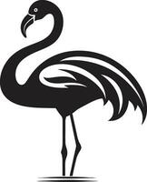 koraal elegantie flamingo logo vector grafisch levendig Vleugels flamingo icoon logo vector