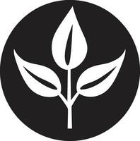 botanisch balans fabriek embleem ontwerp tuin groei iconisch fabriek vector