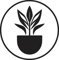 botanisch balans iconisch fabriek vector tuin groei fabriek logo ontwerp