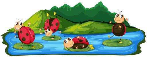 Happy Ladybug Playing bij Lake vector