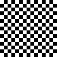 naadloos zwart en wit plein patroon vector