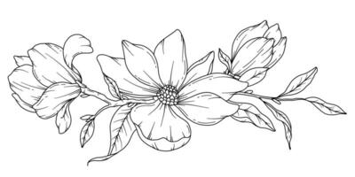 magnolia lijn tekening. zwart en wit bloemen boeketten. bloem kleur bladzijde. bloemen lijn kunst. prima lijn magnolia illustratie. hand- getrokken bloemen. botanisch kleuren. bruiloft uitnodiging bloemen vector