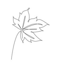 een doorlopende lijntekening abstracte tropische lente esdoornblad. minimaal botanie natuurlijk eco-concept. home wand decor, poster, tote tas, stof print. enkele lijn tekenen ontwerp grafische vectorillustratie vector