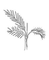 een enkele lijntekening palm faux areca blad vectorillustratie. tropische bladeren minimalistische stijl, bloemmotief concept voor poster, wand decor print. modern doorlopende lijn grafisch tekenontwerp vector