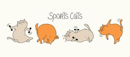 sport- katten, opleiding. reeks van tekenfilm katten, belettering. dik gelukkig katten Doen gymnastiek. kat met halters, in een yoga houding. tekening. vector illustratie. achtergrond geïsoleerd.