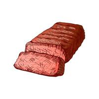 biologisch voedsel. hand- getrokken gekleurde vector schetsen van gegrild rundvlees steak, stuk van vlees. wijnoogst illustratie. decoraties voor de menu. gegraveerde afbeelding.