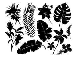 reeks van zwart silhouetten van bladeren en bloemen. vector illustratie.