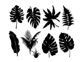 reeks van zwart silhouetten van bladeren en bloemen. vector illustratie.