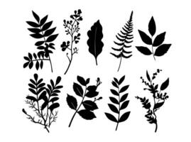 reeks van zwart silhouetten van bladeren en bloemen. vector illustratie.