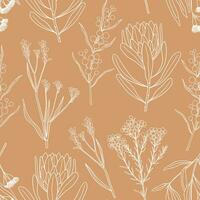 hand- getrokken Australisch bloemen en planten naadloos patroon. bloemen ontwerp in pastel kleuren vector