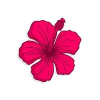 roze hibiscus vector