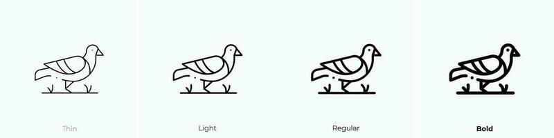 duif icoon. dun, licht, regelmatig en stoutmoedig stijl ontwerp geïsoleerd Aan wit achtergrond vector