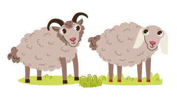 schattig RAM en schapen. schattig kinderen vector illustratie van boerderij dieren.