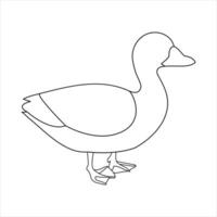 een eend doorlopend single lijn tekening vector illustratie. doorlopend schets van dier vogel icoon.