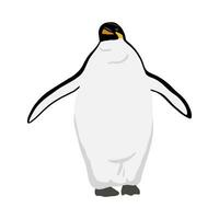 koning pinguïn. vlak vector illustratie geïsoleerd Aan wit. polair dier