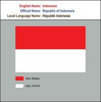 vlag van Indonesië met hex codes vector