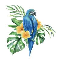 tropisch palm bladeren, monstera en bloemen van plumeria, helder sappig met blauw Geel ara papegaai. hand- getrokken waterverf botanisch illustratie. geïsoleerd samenstelling Aan een wit achtergrond vector eps