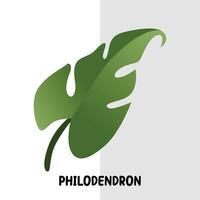 tropisch blad vector philidendron blad