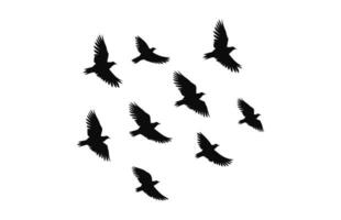 een kudde van vogelstand silhouet geïsoleerd Aan een wit achtergrond, vliegend vogelstand zwart vector