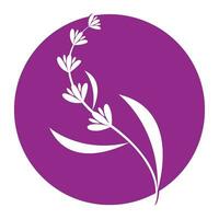 vers lavendel bloem logo vector