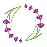 vers lavendel bloem logo vector