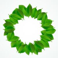 groene bladeren op een witte achtergrond vector