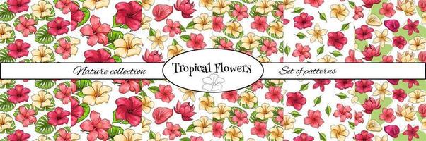 tropisch patroon met exotische planten bloemen en bladeren in cartoon stijl vector