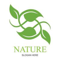 natuur creatief symbool biologisch concept. bio kruiden Gezondheid zorg abstract bedrijf eco logo. vers voedsel, cirkel pakket, schoonheid flora, apotheek icoon. zakelijke identiteit logo, bedrijf grafisch vector