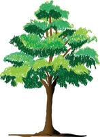 een groot boom geïsoleerd vector illustratie