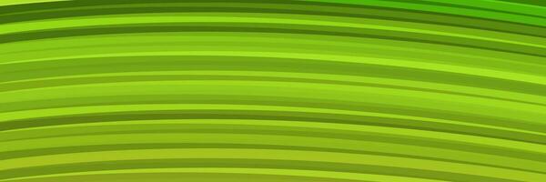 abstract groen elegant levendig achtergrond vector