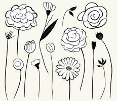 monochroom tekening bloemen. bloemen elementen set. schets botanisch illustratie. hand- getrokken geïsoleerd planten. vector