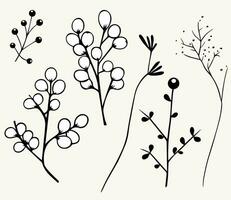 monochroom planten. bladeren, takken, bloemen elementen set. schets botanisch illustratie. hand- getrokken geïsoleerd planten. vector