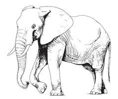 groot wandelen olifant hand- getrokken schetsen vector illustratie