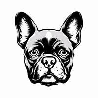 franse bulldog vector