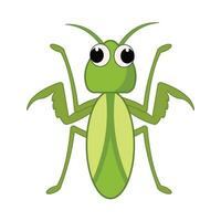 insect dier illustratie vector