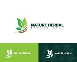 natuur logo creatief kruiden vertrekken groen groei ontwerp sjabloon vector