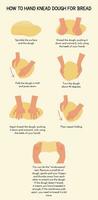 infographic onderschrift hoe naar hand- kneden deeg voor brood. werkwijze van zuurdesem bakken. illustratie voor koken boek of eigengemaakt bakken recept. vector illustratie.