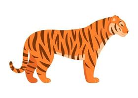 volwassen grote Aziatische tijger dieren in het wild, profielweergave. cartoon chinese dieren tijger, symbool nieuwjaar 2022. vectorillustratie vector