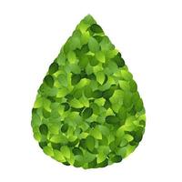 groen eco-vriendelijk label van groene bladeren. vectorillustratie. vector