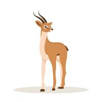 elegant Afrikaanse antilope. gazelle met hoorns Aan wit achtergrond. zoogdier dier. vector illustratie in vlak tekenfilm stijl