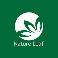 groen blad natuur fabriek conceptuele symbool vector illustratie