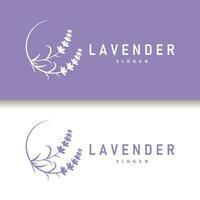 lavendel logo elegant Purper bloem fabriek illustratie bloemen ornament ontwerp vector