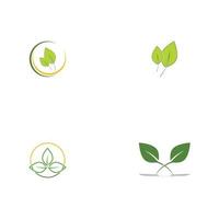 logo's van groene boom blad ecologie vector