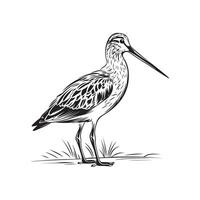 reiger vector beeld