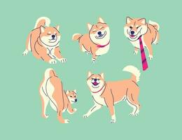 schattig shiba hond vector verzameling reeks