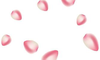 vector roze sakura vallend bloemblaadjes achtergrond